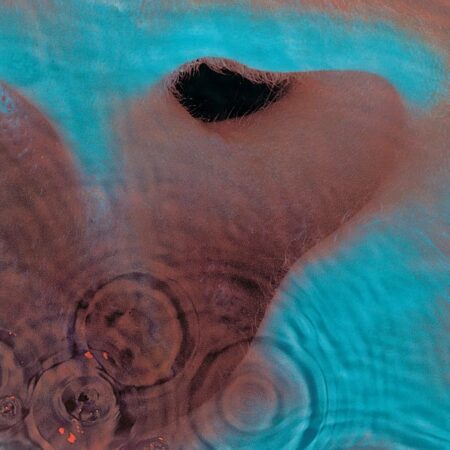 Meddle -Pink Floyd